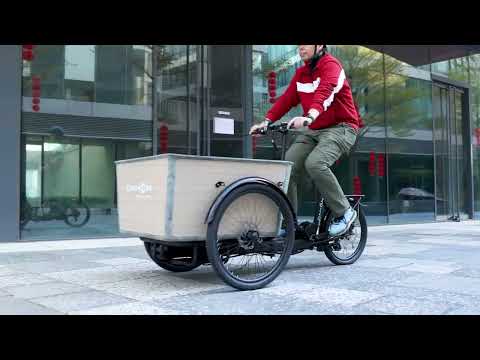 DAHON Cargoe T5 - Foldable E-Cargo Bike