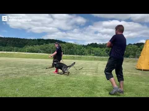 Airick Wiki Isabela - Protection 17 months