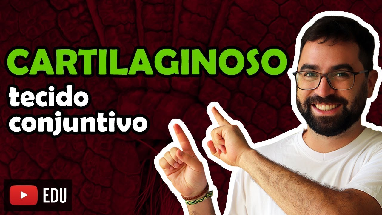 Tecido Cartilaginoso (Conjuntivo Especial) - Aula 07 - Módulo VII: Fisiologia Humana | Prof. Gui