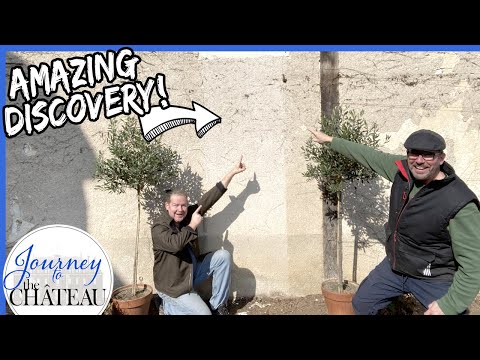 Chateau Garden TRANSFORMATION and an AMAZING DISCOVERY! - Journey to the Château de Colombe, Ep. 73