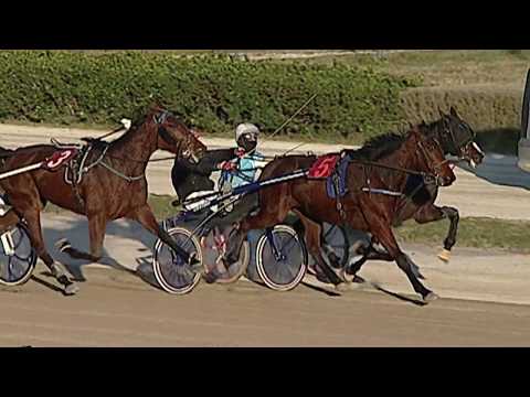 Aversa trotto 22 Gennaio 2020 - 2° Corsa