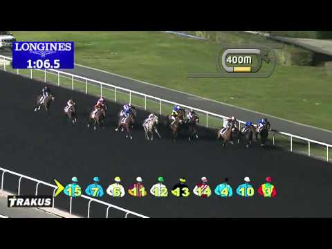 06.02.2014 Meydan (Dubai-UAE) 2.Race IPIC Trophy - Handicap 1.400 m