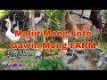 Farming sa Maliit na Lote Sa Likod Bahay Ay Posible Basta May Kasamang Diskarte