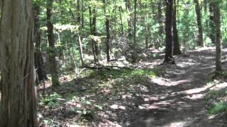 preview picture of video 'Bay Circuit Trail : Ipswich MA Prospect Hill.'