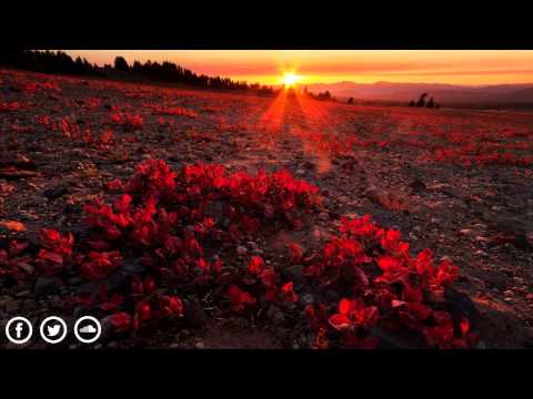 Chris Avantgarde feat. Joel Edwards - Rise Up (Original Mix)