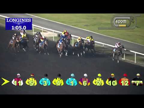 05.12.2013 Meydan (Dubai-UAE) 5.Race Expo 2020 82 / 100 - Handicap 1.400 m