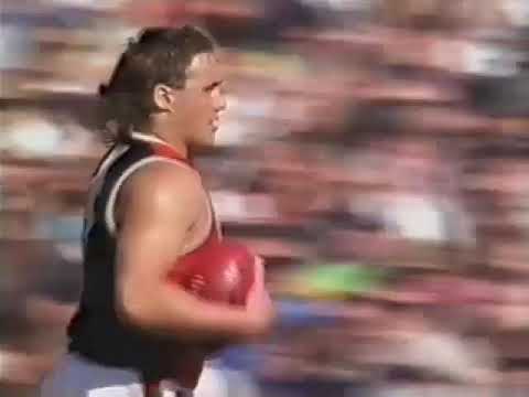 1991 AFL Today Second semi final Geelong Vs St Kilda at Waverley Plugger booted 9 goals & Billy Bro