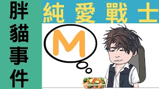 [問卦] 為何這次胖貓事件在中國大爆發？