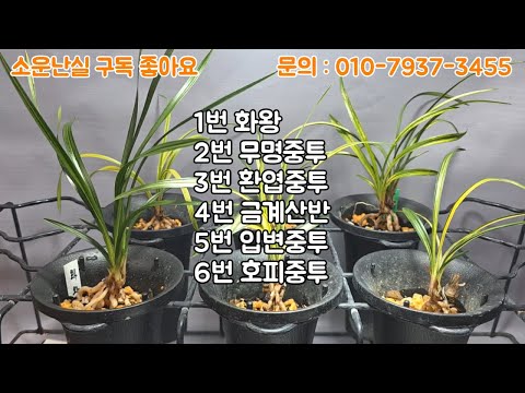 유튜브 썸네일