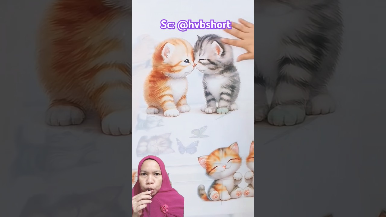 STIKER KUCING LUCU #shorts #shortsvideo