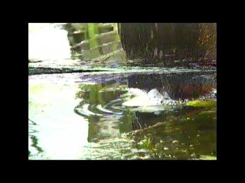 Nakani - There's No Light w/Keyzamane