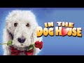 In The Dog House | Hilarious Comedy For the Whole Family