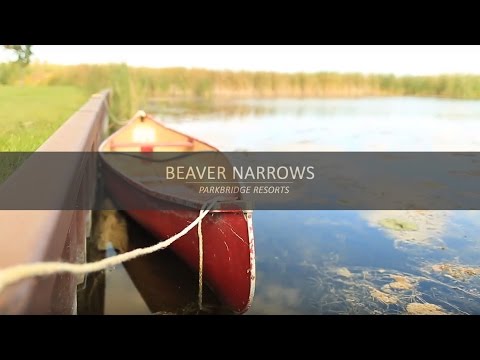 Gallery Video