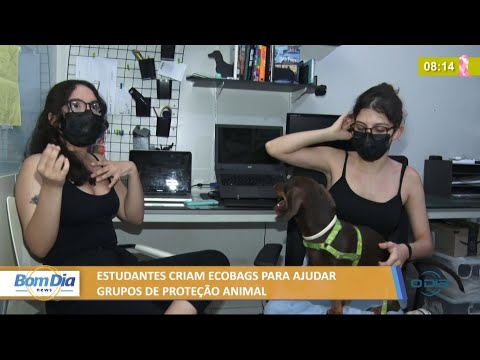 Estudantes criam ecobags para ajudar grupos de protecão animal 25 10 2021
