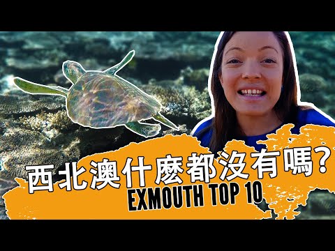 Exmouth Top 10 | What to do in Exmouth