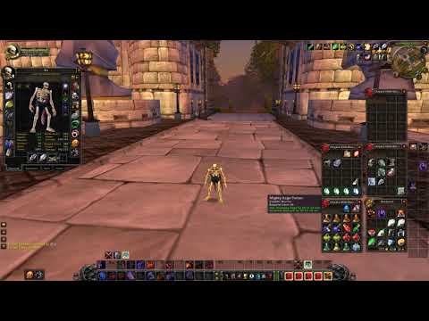 Vanilla Fury Warrior Raid Consumable's and Rotation!