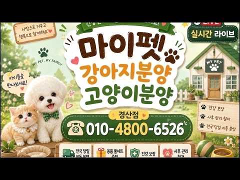 강아지분양 고양이분양 라이브❤️전국어디서든분양가능❤️라이브 실시…