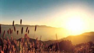 M. Ward - Chinese Translation