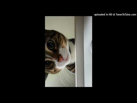 Jersey Club X Swiish Bukkz X Pop Kreep X Jodot Kreep “SAD WIT NO PERCS” | Jersey Club Instrumental