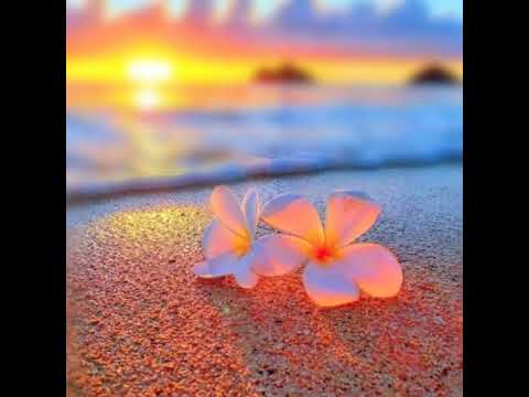 VOROLAKI AU💔 LYRICS