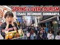 Introducing My Hometown Osaka, Spring Over Tourism Season in Namba Dotonbori, Local $2 Bento Ep.477