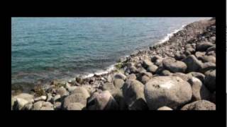 Sir Francis Bacon at the Net (Cowboy Junkies)