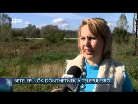 Betelepülők dönthetnek a településről 14-10-18