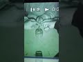 Scary ghost moan