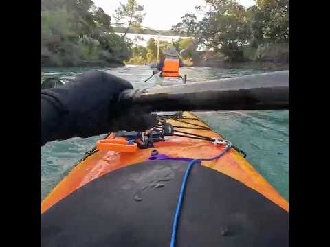 Judges Bay kayaking #kayaking #seakayak #kayaklife  #newzealand