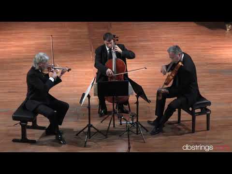 Nuovo Trio Italiano d'Archi  - Schubert Trio in si bemolle maggiore D. 471