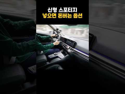 돈 버는 국산차 옵션!!