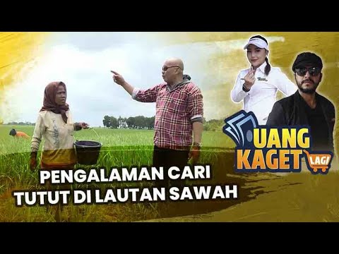 DERITA PENGHASILAN PETANI TUTUT DI SAWAH | UANG KAGETR LAGI EPS 453 (1/5)