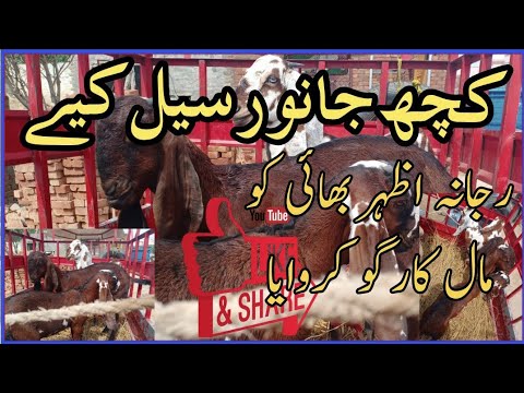 Kch janwar seel key or rajina maal cargoo krwia