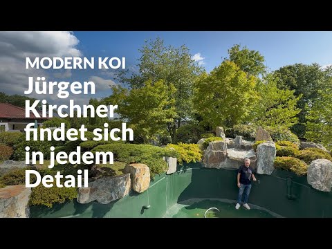 Stefans Japangarten mit 90.000 Liter Koiteich  | Modern Koi Blog #7833