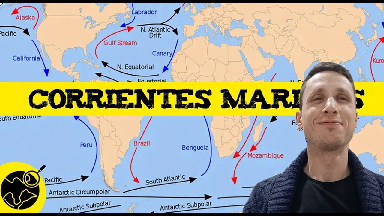 Las corrientes marinas 🌊