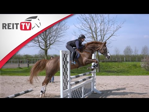 Ausrüstung: Steigbügel - Die richtige Länge für den Springsattel (3/3)