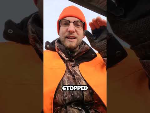 Primos NEW! RevolveR grunt ~ review