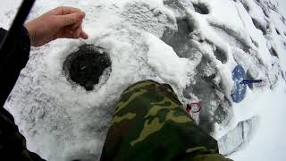 Рыбалка в тульской области на жерлицы
