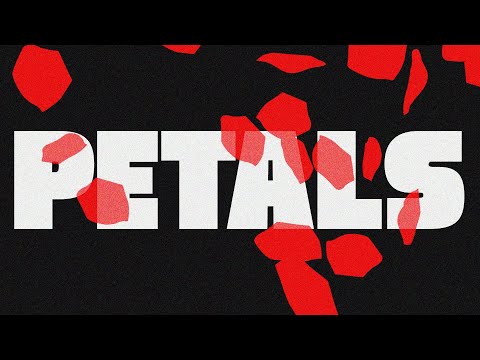 vaultboy - petals (Official Lyric Video)
