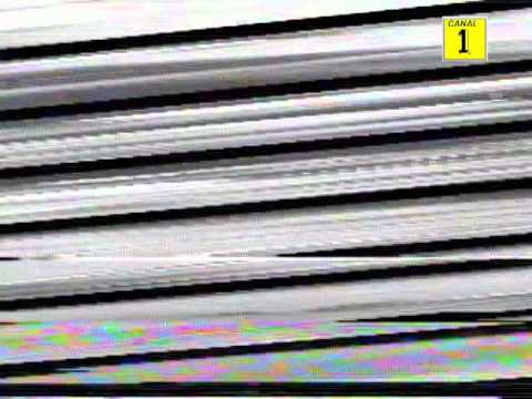 Carlos Altamirano- Panorama Santiago