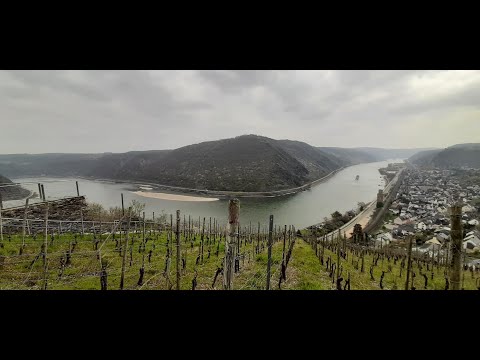 Über den Rheinburgenweg von Sankt Goar nach Oberwesel