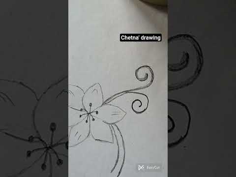 drawing of flowers 🩷🩷@chetna'sdrawing #chetna #drawing ❤