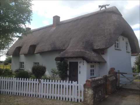 Beachcomas - "Donuts" (1997)