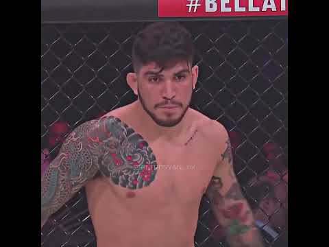 Islam Makhachev Vs Dillon Danis ?