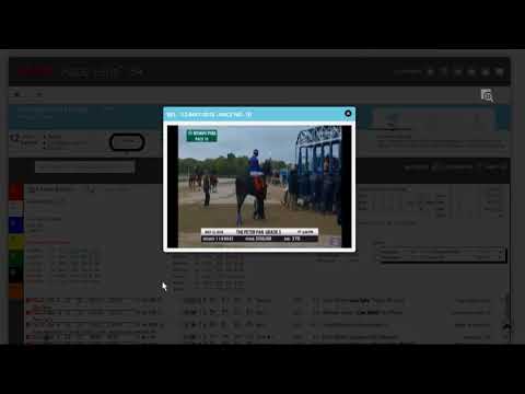 Handicap the Haskell Invitational with Race Lens