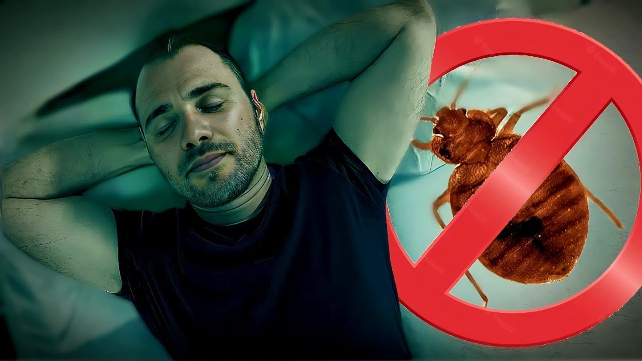 Comment choisir une housse anti punaise de lit  (enfin tranquille la nuit)