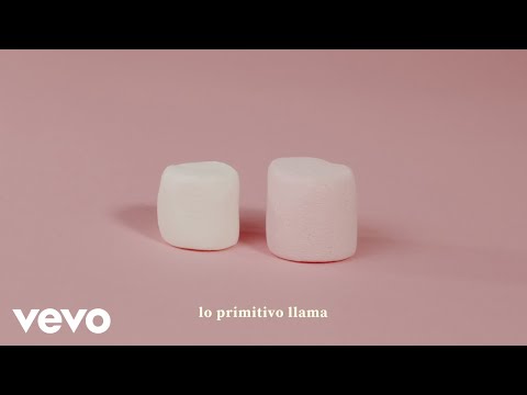 Caloncho - Mono Gámez (Lyric Video)