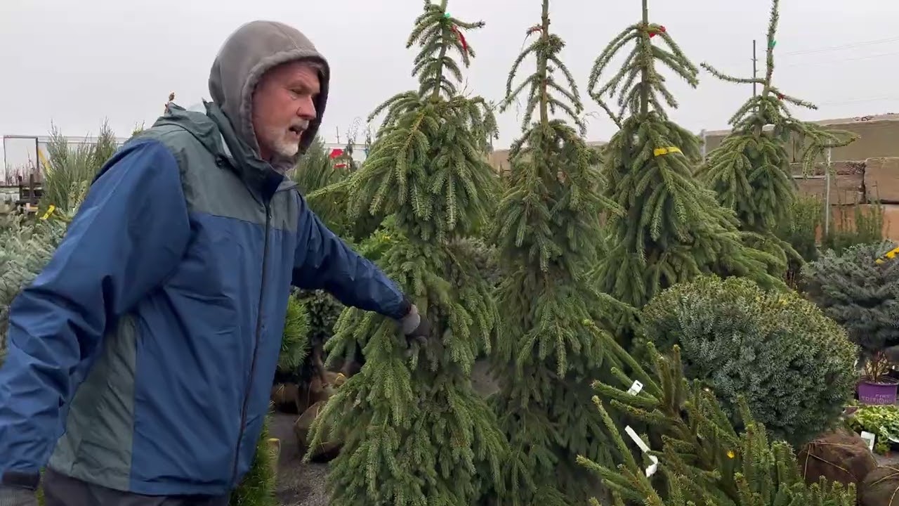 Wednesdays with Wayne- Spring Nursery Stock First Look