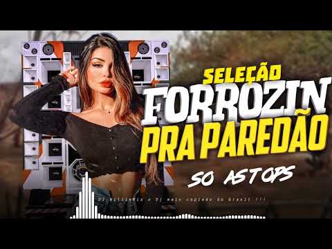 SELEÇÃO FORROZIN PRA PAREDÃO🔊🔊 2025 ,SO AS TOPS❤  AS + TOCADA 🔥🔥