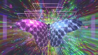 Sun Atoms – “Half Robot Half Butterfly”